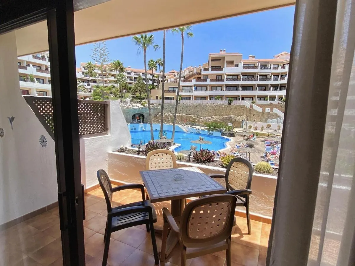 Walk To Golf Heated Pool Apartment San Miguel de Abona İspanya